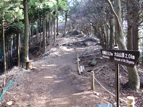 20151228hike (276)